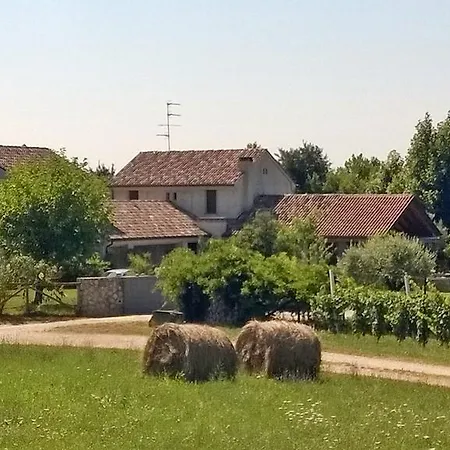 Il Giuggiolo