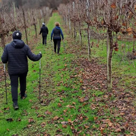 Il Giuggiolo 3* コネリアーノ