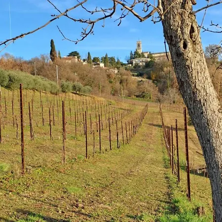Bed & Breakfast Il Giuggiolo