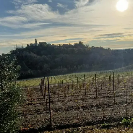 فندق مبيت وإفطار Il Giuggiolo