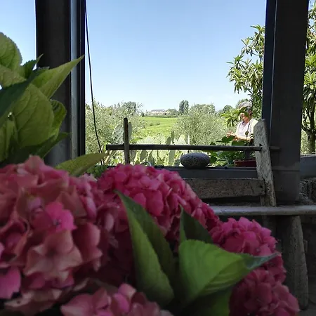 ベッド・アンド・ブレックファスト Il Giuggiolo コネリアーノ