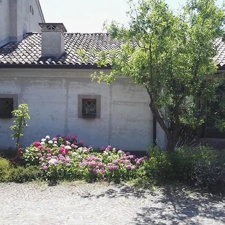 Il Giuggiolo *
