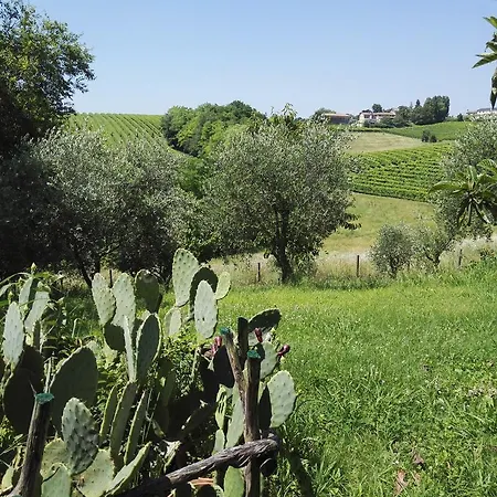 فندق مبيت وإفطار Il Giuggiolo 3*