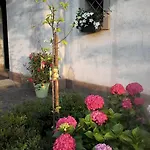 Il Giuggiolo Bed & Breakfast 3*