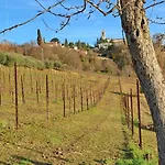 Bed & Breakfast Il Giuggiolo