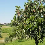 Il Giuggiolo 3*