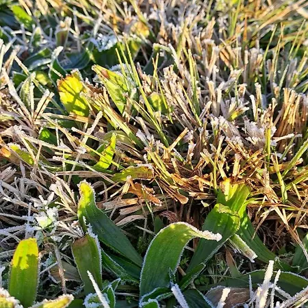 Couette-café Il Giuggiolo