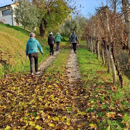 Il Giuggiolo Conegliano