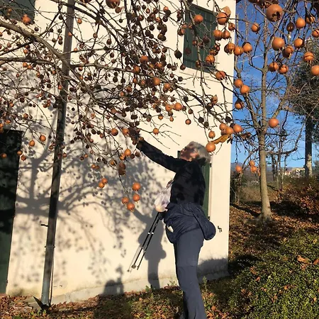 Il Giuggiolo Conegliano