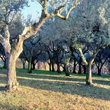 Il Giuggiolo 3*