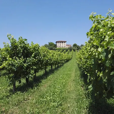 Il Giuggiolo Conegliano