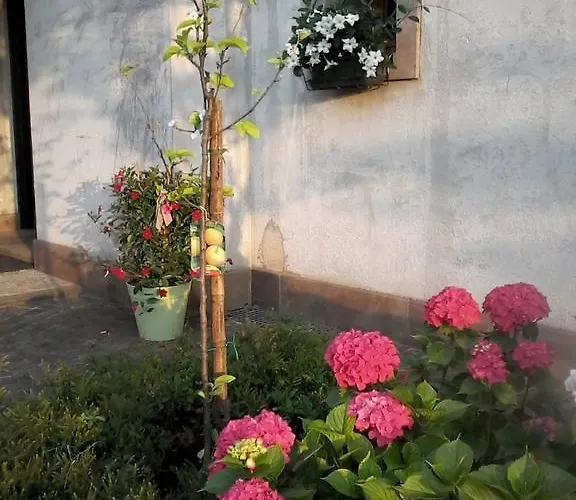 Il Giuggiolo Bed & Breakfast 3*