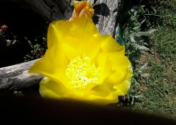 Il Giuggiolo Bed & Breakfast Conegliano