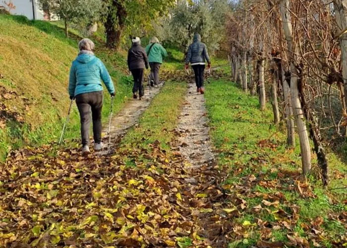 Il Giuggiolo Conegliano