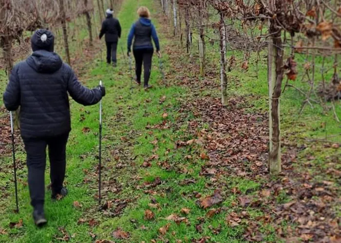 Il Giuggiolo 3* Conegliano