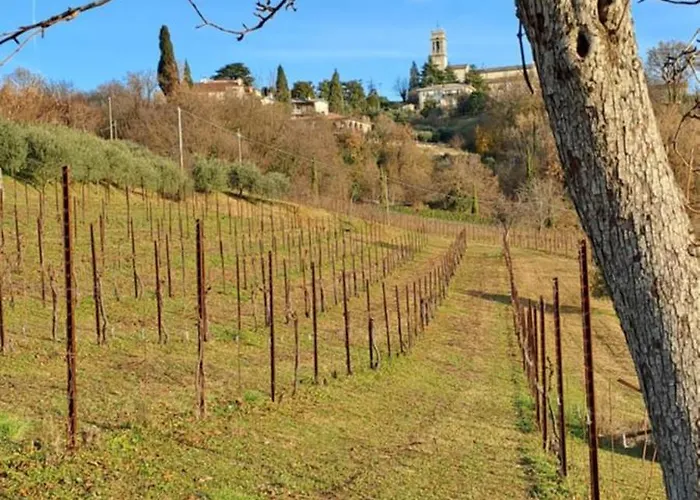 Bed & Breakfast Il Giuggiolo