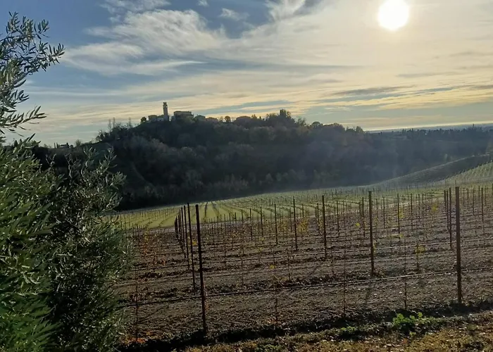 Bed & Breakfast Il Giuggiolo