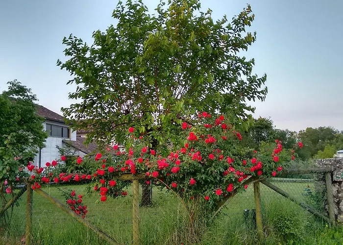 Bed & Breakfast Il Giuggiolo Conegliano