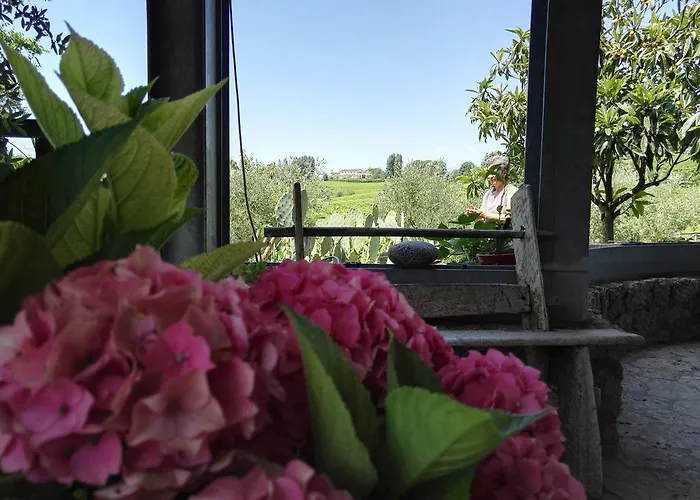 Bed & Breakfast Il Giuggiolo Conegliano