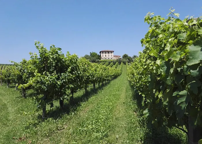 Il Giuggiolo Conegliano